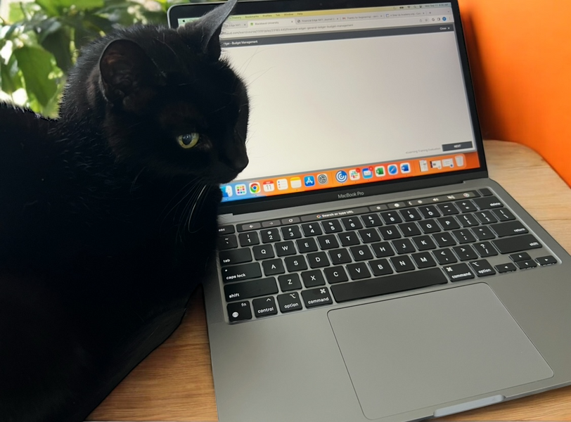 Spooky Shows Up: How a Cat Hijacked Our Virtual Meeting